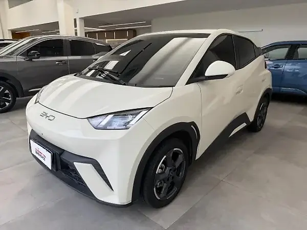 BYD Dolphin Mini - Imagem 3