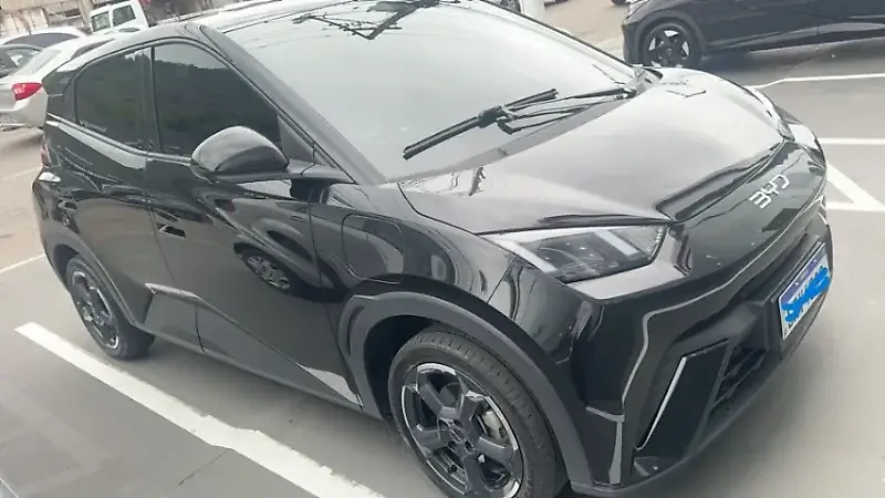 BYD Dolphin Mini - Imagem 2