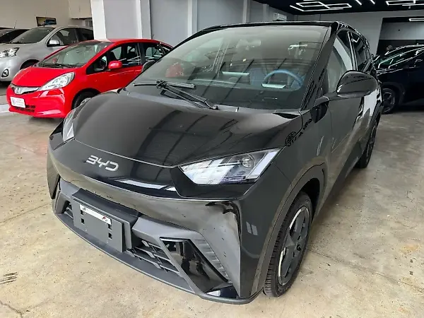 BYD Dolphin Mini - Imagem 1
