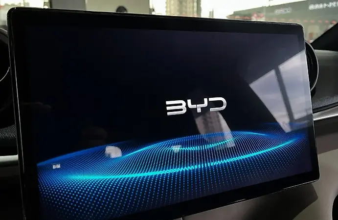 BYD Dolphin - Imagem 13