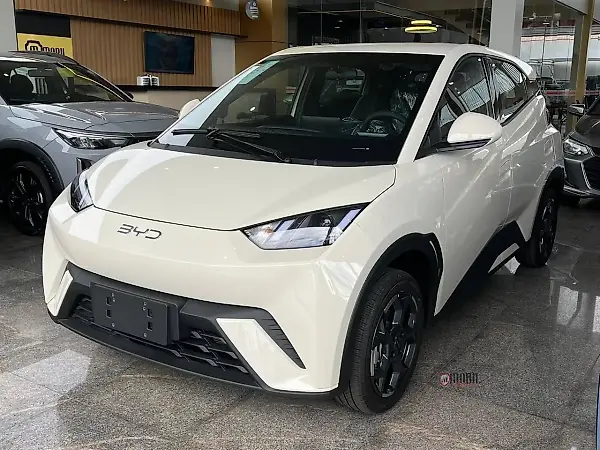BYD Dolphin Mini - Imagem 1