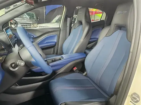 BYD Dolphin Mini - Imagem 8