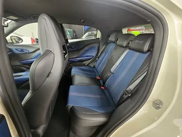 BYD Dolphin Mini - Imagem 15