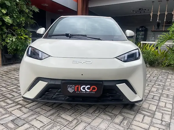 BYD Dolphin Mini - Imagem 1
