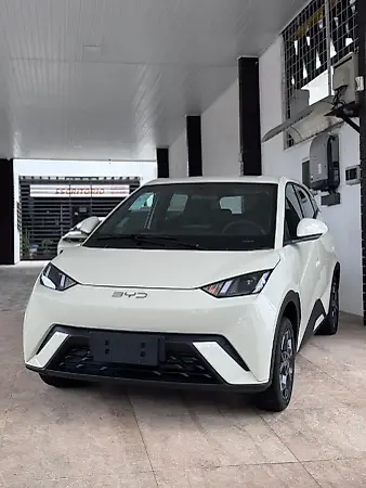 BYD Dolphin Mini - Imagem 1