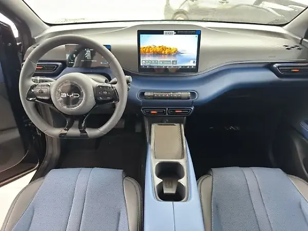 BYD Dolphin Mini - Imagem 2