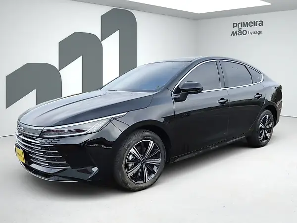 BYD King - Imagem 1