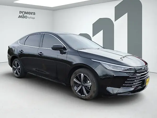BYD King - Imagem 2