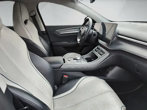 BYD King - Imagem 15
