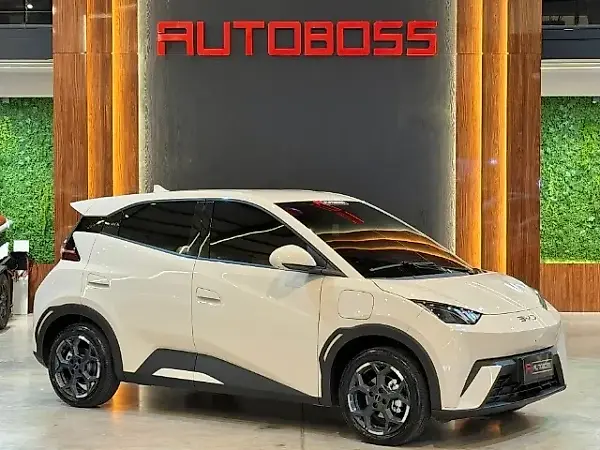BYD Dolphin - Imagem 16