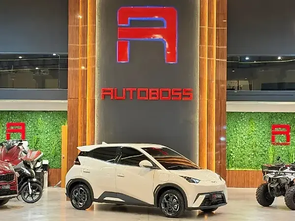 BYD Dolphin - Imagem 17