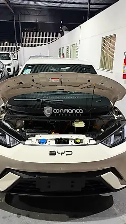 BYD Dolphin Mini - Imagem 7