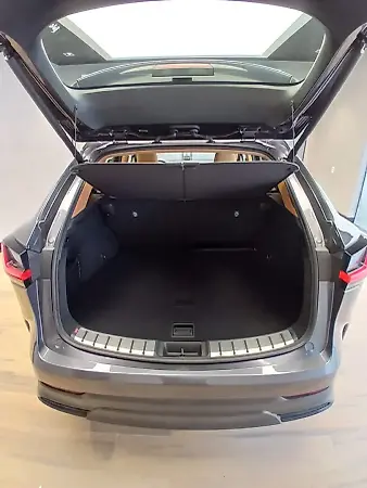Lexus Nx - Imagem 6