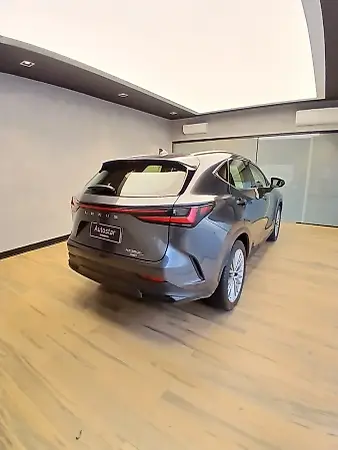 Lexus Nx - Imagem 8