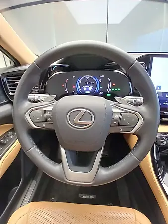 Lexus Nx - Imagem 14