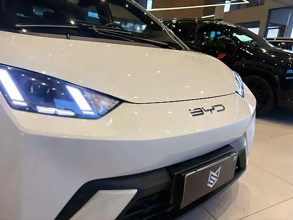 BYD Dolphin Mini - Imagem 6