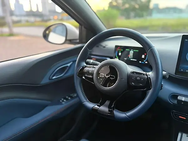 BYD Dolphin Mini - Imagem 12