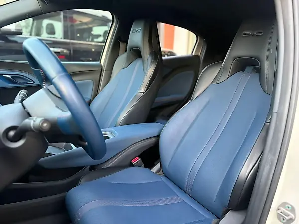 BYD Dolphin Mini - Imagem 16