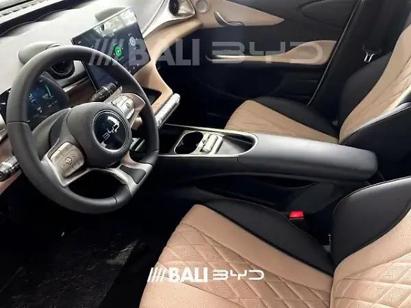 BYD Dolphin - Imagem 8
