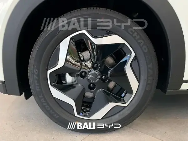 BYD Dolphin - Imagem 5
