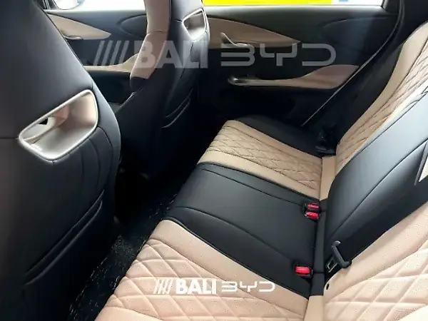 BYD Dolphin - Imagem 9