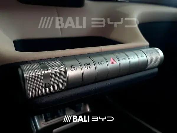 BYD Dolphin - Imagem 10
