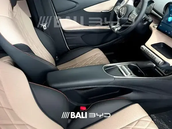 BYD Dolphin - Imagem 11