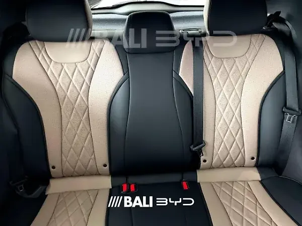 BYD Dolphin - Imagem 14