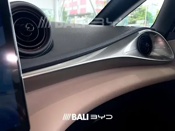 BYD Dolphin - Imagem 12