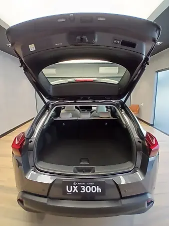 Lexus Ux 300e - Imagem 6