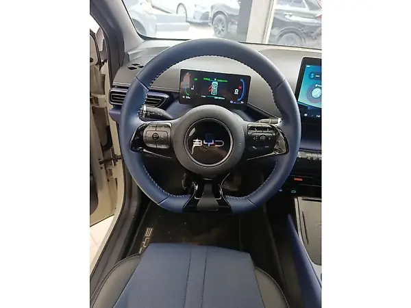 BYD Dolphin Mini - Imagem 10