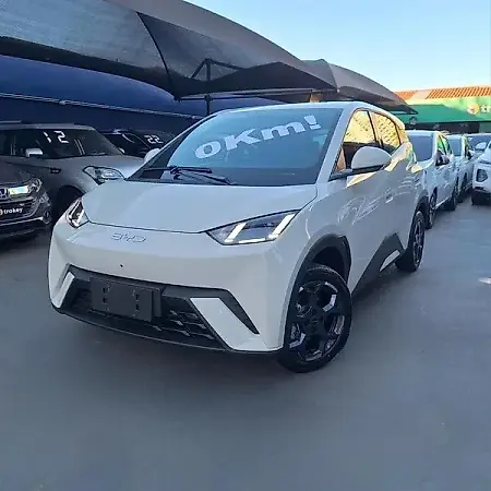 BYD Dolphin Mini - Imagem 1