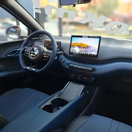 BYD Dolphin Mini - Imagem 13