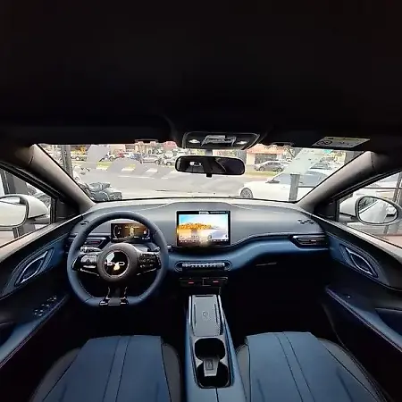 BYD Dolphin Mini - Imagem 16
