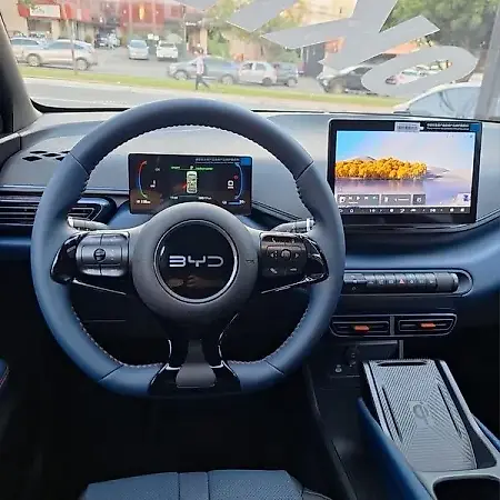 BYD Dolphin Mini - Imagem 17