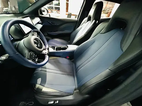 BYD Dolphin Mini - Imagem 9