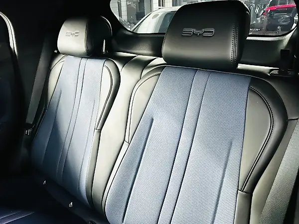 BYD Dolphin Mini - Imagem 11