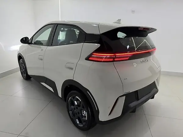 BYD Dolphin - Imagem 11