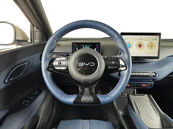 BYD Dolphin Mini - Imagem 12