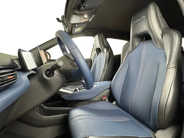 BYD Dolphin Mini - Imagem 14