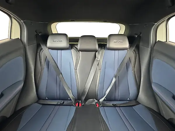 BYD Dolphin Mini - Imagem 16