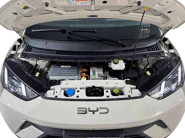BYD Dolphin Mini - Imagem 19