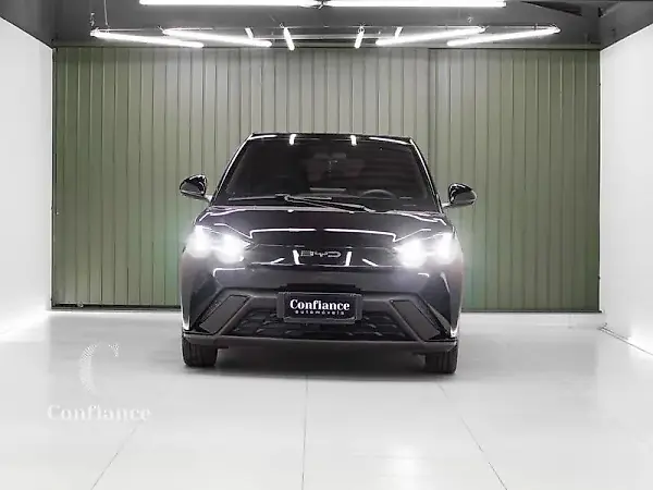 BYD Dolphin Mini - Imagem 2