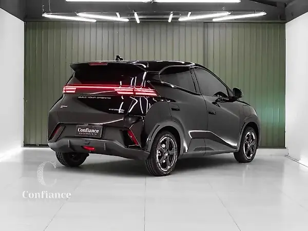 BYD Dolphin Mini - Imagem 6