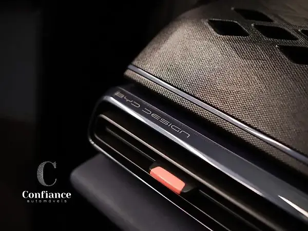 BYD Dolphin Mini - Imagem 13