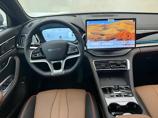 BYD D1 - Imagem 4