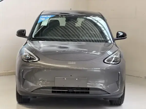 Geely Geome - Imagem 2