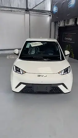 BYD D1 - Imagem 2