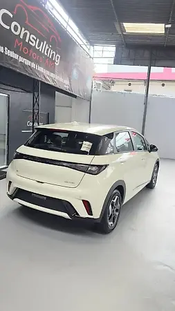 BYD D1 - Imagem 6