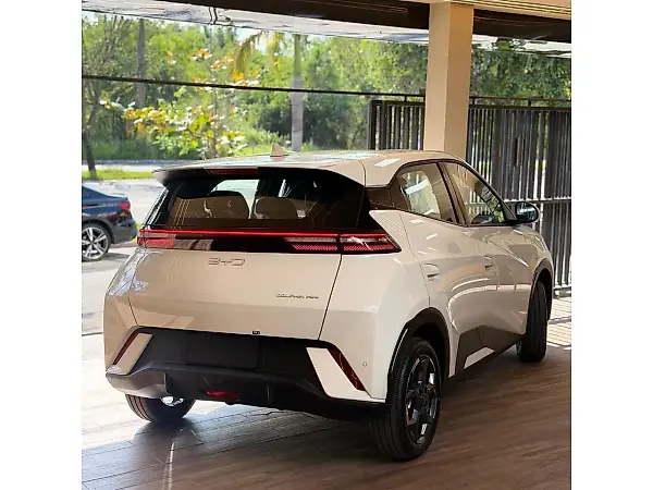 BYD D1 - Imagem 4
